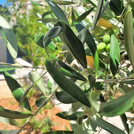 Al Mar - Zf Hvar Daire *